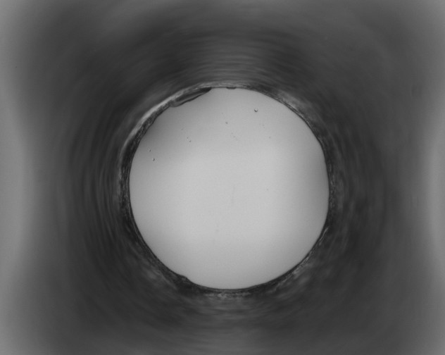X0000083590338200703021851