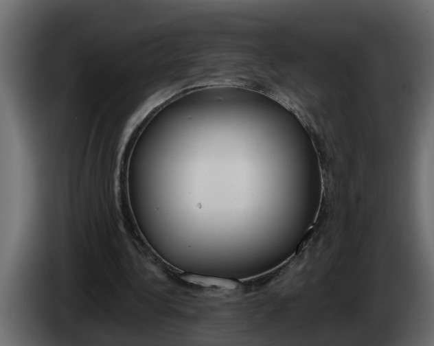 X0000083590340200703021851