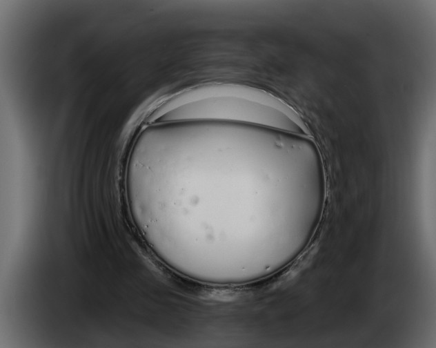 X0000083590341200703021851