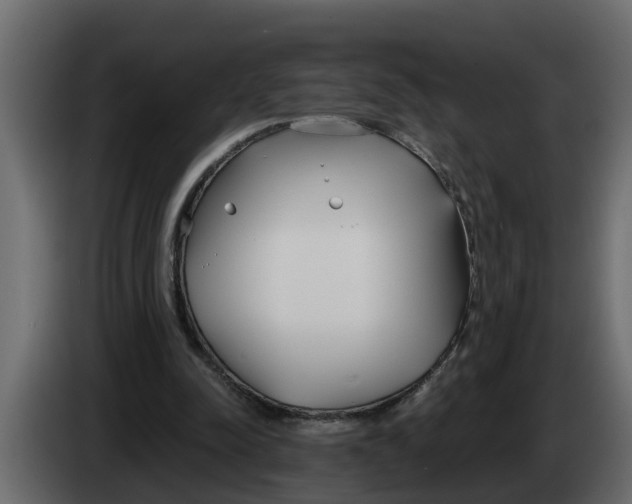 X0000083590342200703021851