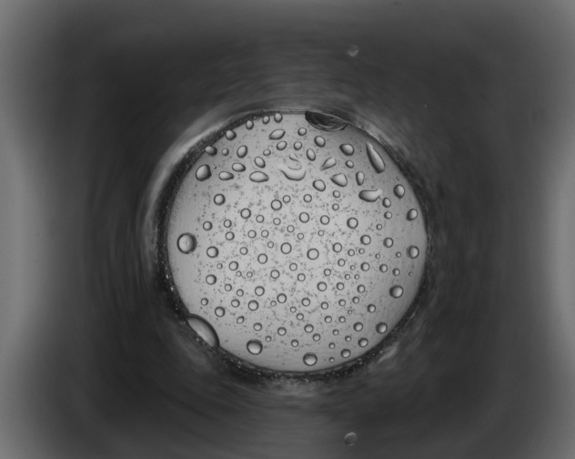 X0000083590343200703021851