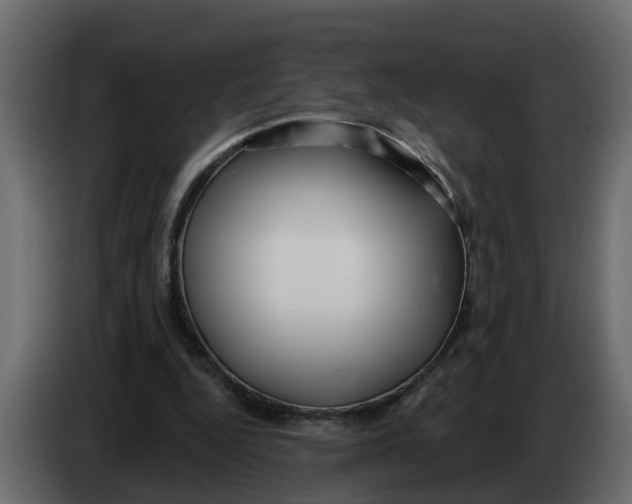 X0000083590344200703021851