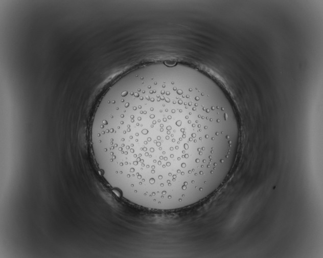 X0000083590345200703021851