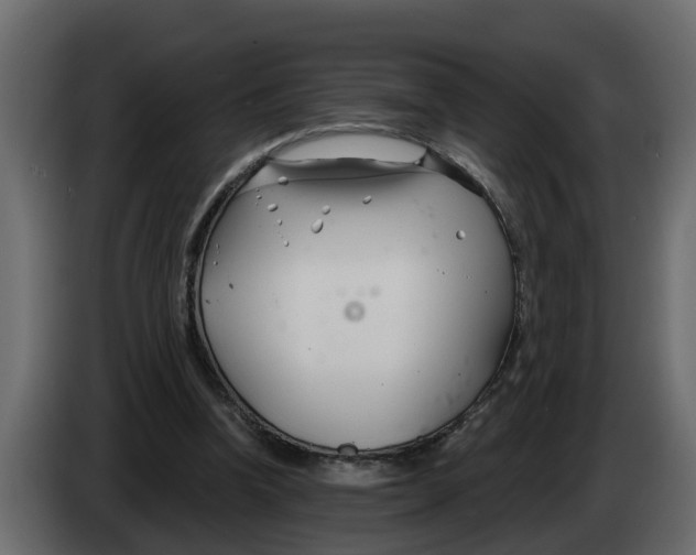 X0000083590346200703021851