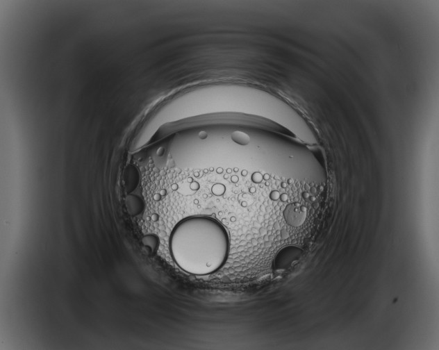 X0000083590347200703021851