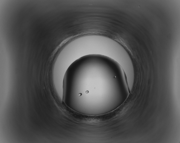 X0000083590348200703021851