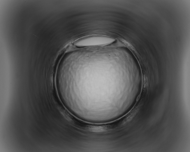 X0000083590349200703021851