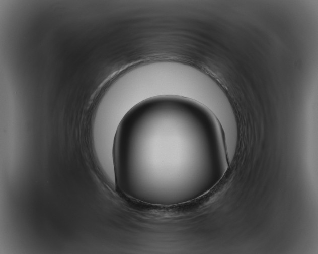 X0000083590351200703021851