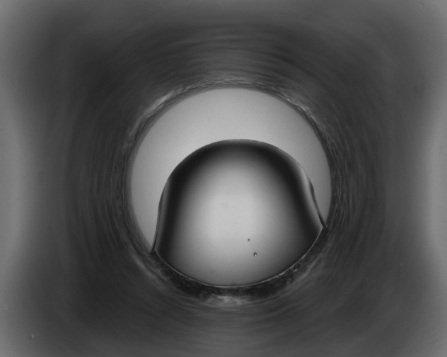 X0000083590352200703021851