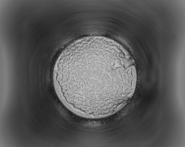 X0000083590353200703021851