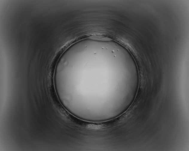 X0000083590354200703021851