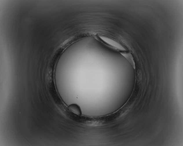 X0000083590356200703021851