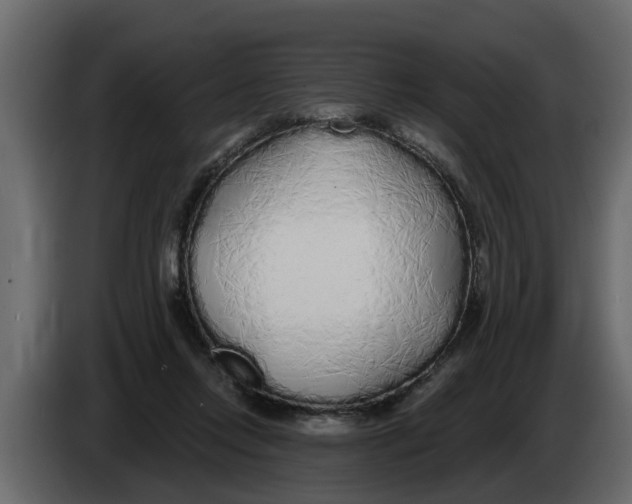 X0000083590358200703021851