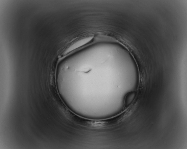 X0000083590359200703021851