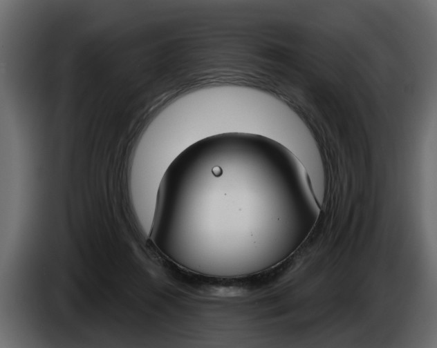 X0000083590360200703021851