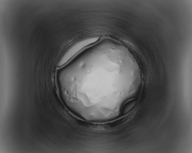 X0000083590361200703021851
