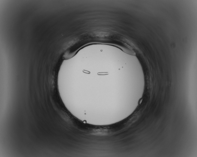 X0000083590362200703021851