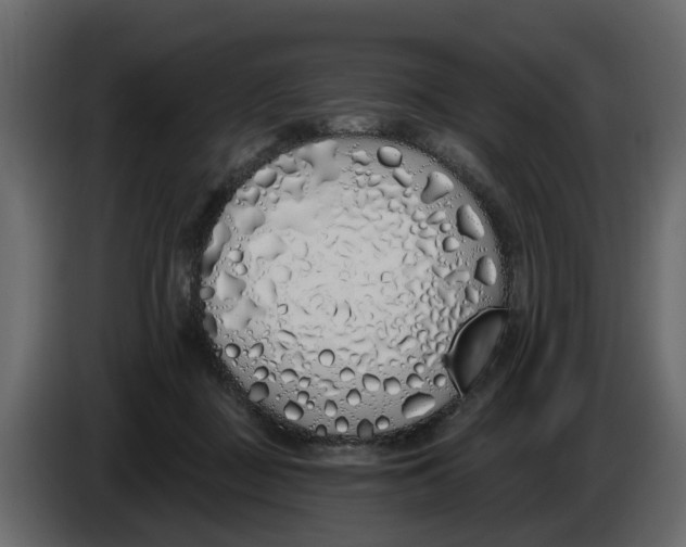 X0000083590363200703021851