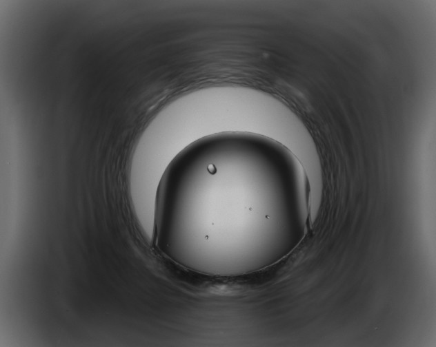 X0000083590364200703021851