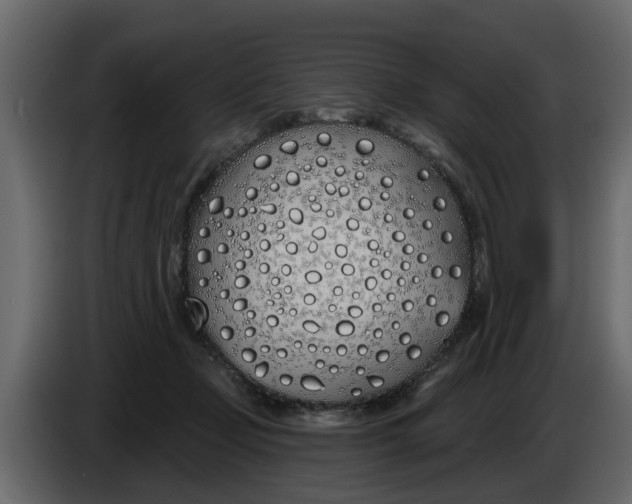 X0000083590365200703021851