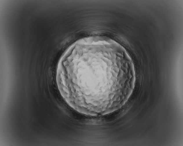 X0000083590366200703021851