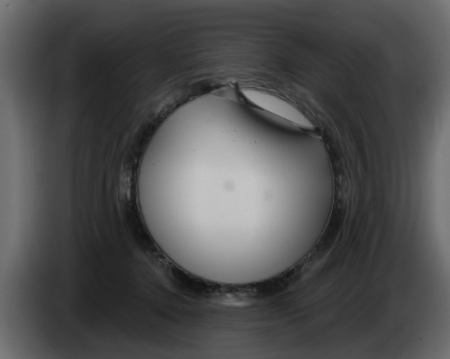 X0000083590368200703021851