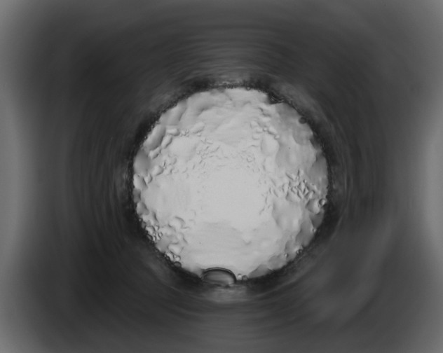 X0000083590369200703021851