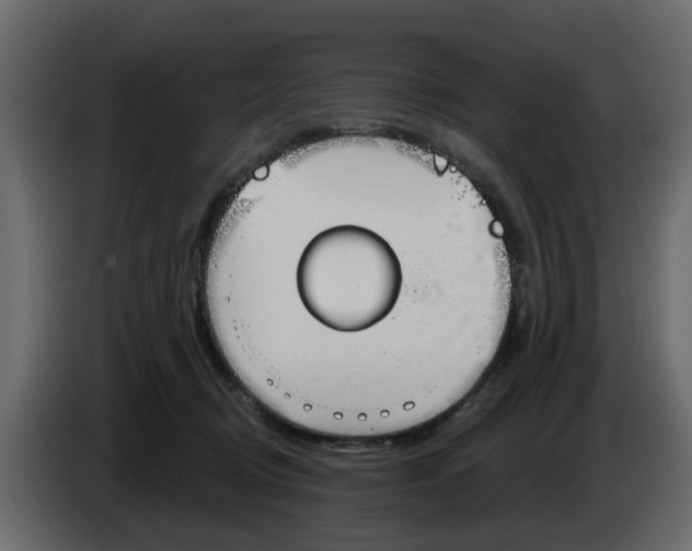 X0000083590370200703021851