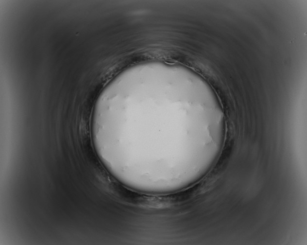 X0000083590371200703021851
