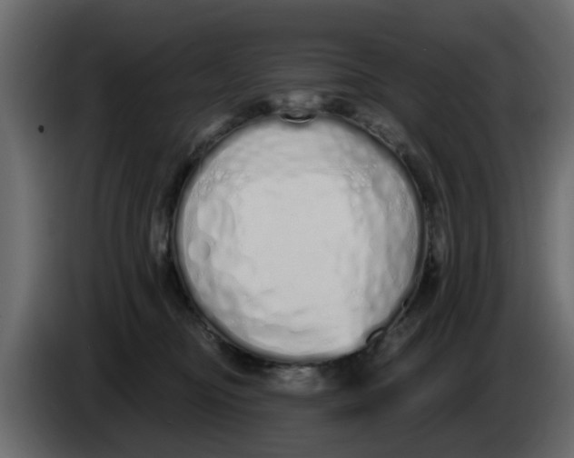 X0000083590374200703021851