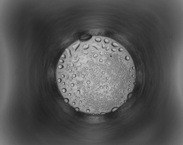 X0000083590375200703021851
