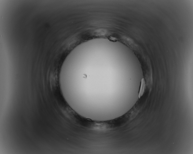 X0000083590376200703021851