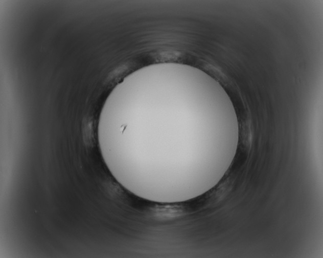 X0000083590378200703021852
