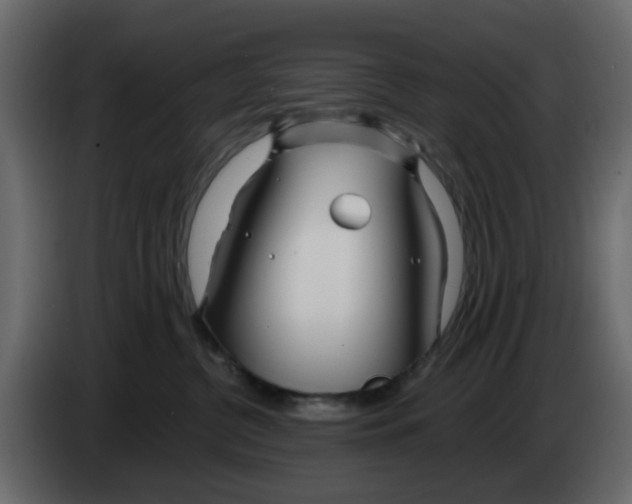 X0000083590380200703021852