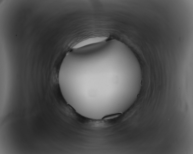 X0000083590384200703021852