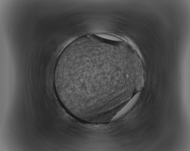 X0000083590385200703021851
