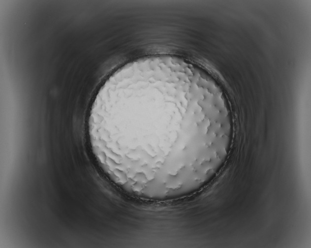 X0000083590386200703021851