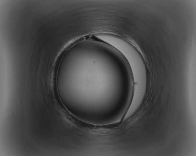 X0000083590387200703021851