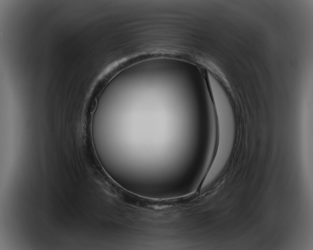 X0000083590388200703021851