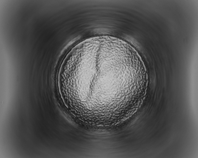 X0000083590390200703021851