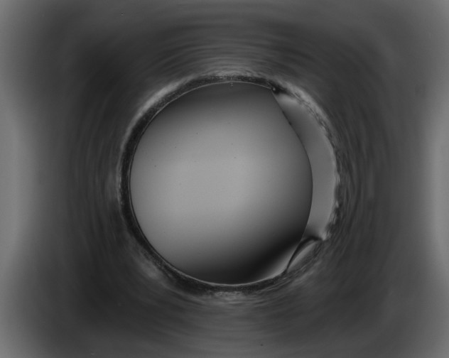 X0000083590391200703021851