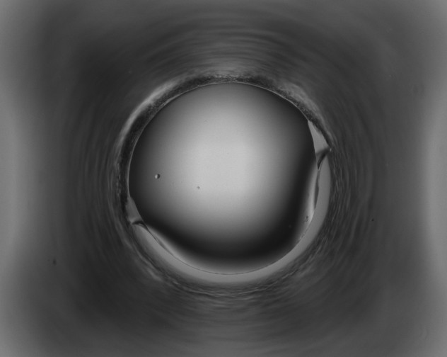 X0000083590392200703021851