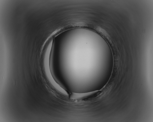 X0000083590395200703021851