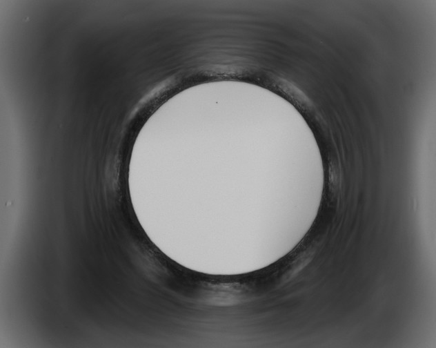 X0000083590396200703021851