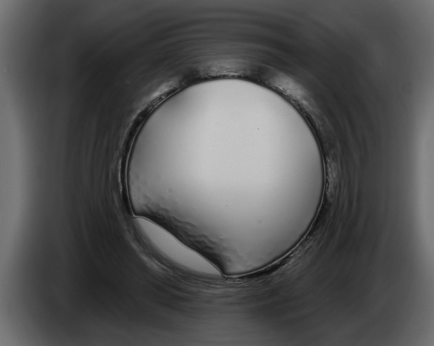 X0000083590398200703021851