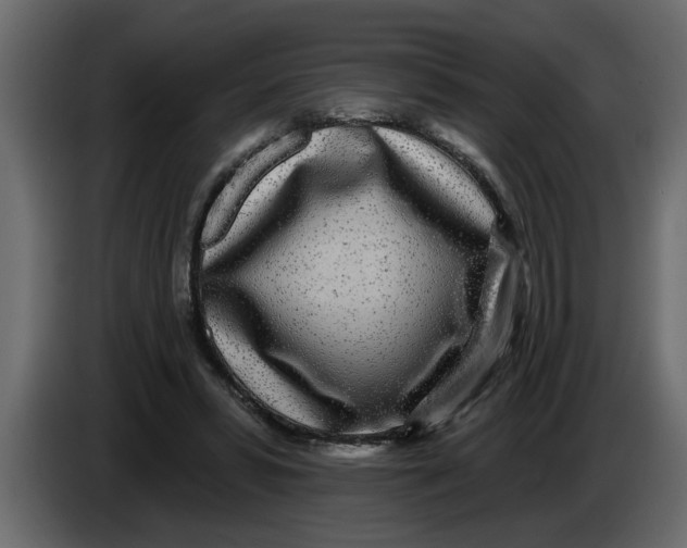 X0000083590399200703021851