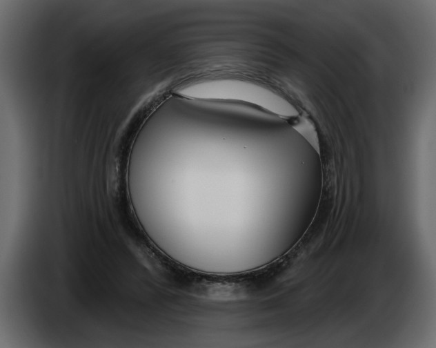 X0000083590400200703021851