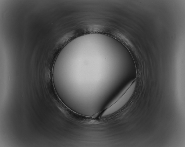 X0000083590401200703021850