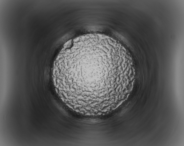 X0000083590402200703021850