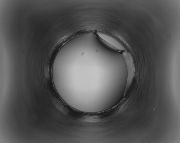 X0000083590403200703021850